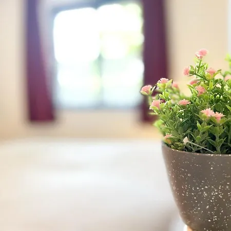 Appartamento Papillon 12-3 - Erika Boltenhagen (Ostseebad)