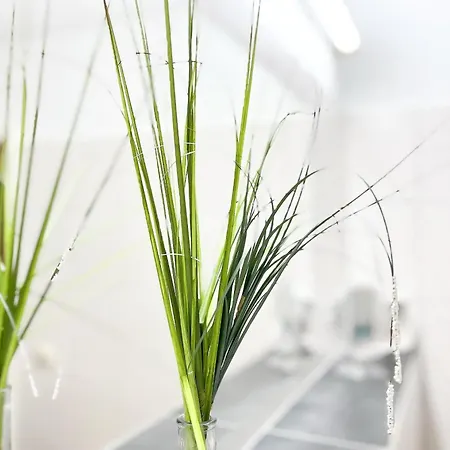 Appartamento Papillon 12-3 - Erika *