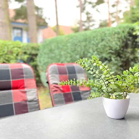 Papillon 12-3 - Erika Appartamento