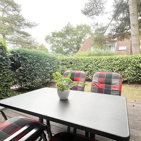 Papillon 12-3 - Erika Boltenhagen (Ostseebad)