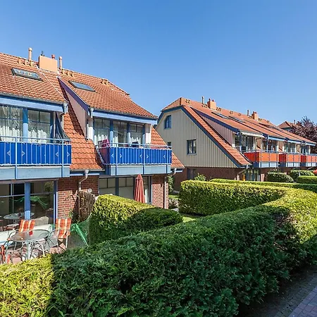 Papillon 12-3 - Erika