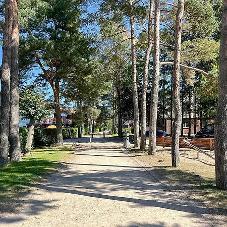 Papillon 12-3 - Erika Appartamento